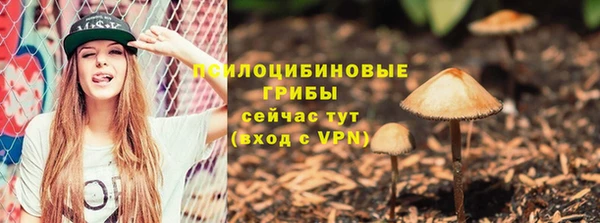 молекула духа Вязники