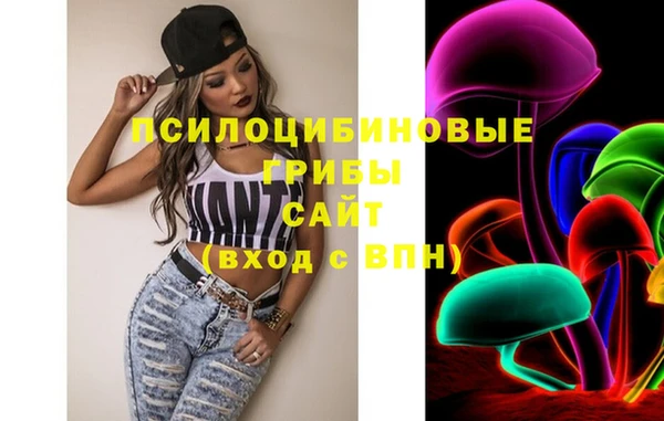 дурь Пестово