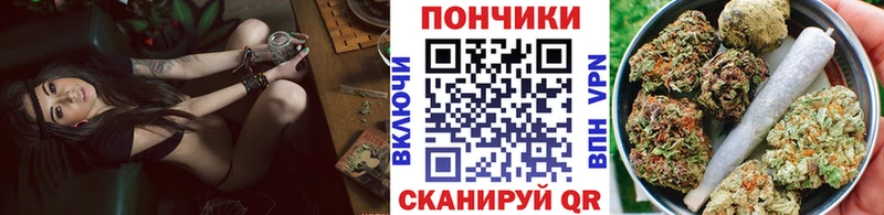 Шишки марихуана Bruce Banner  Павлово 